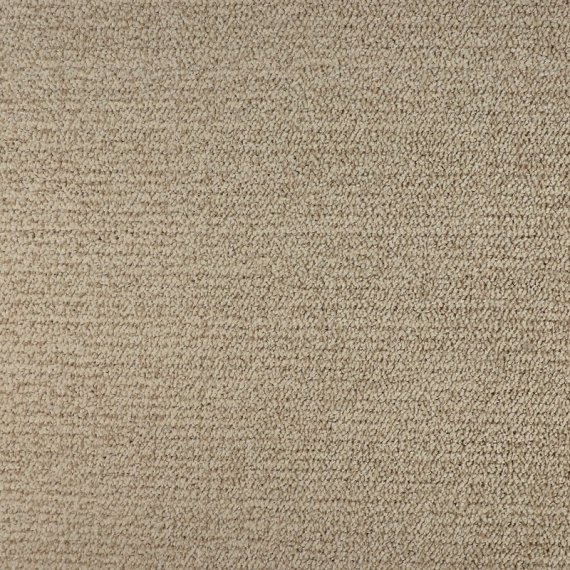 Ковровое покрытие Tarkett Драгон 10231